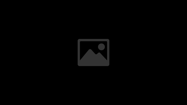 Check Active Directory for Stale Computers